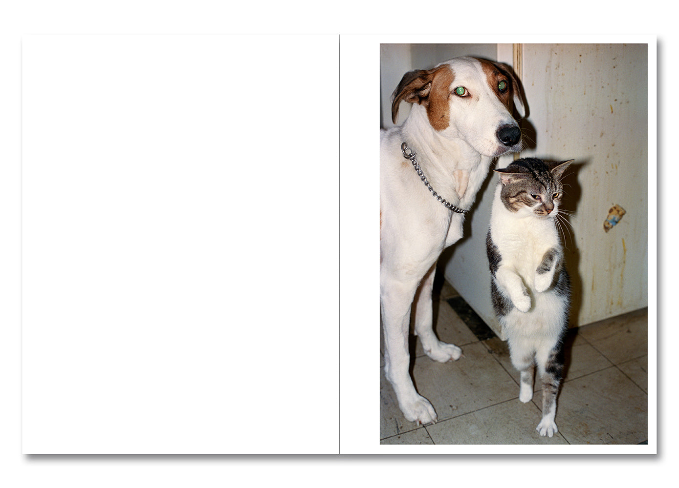 Ray's a Laugh Special Edition