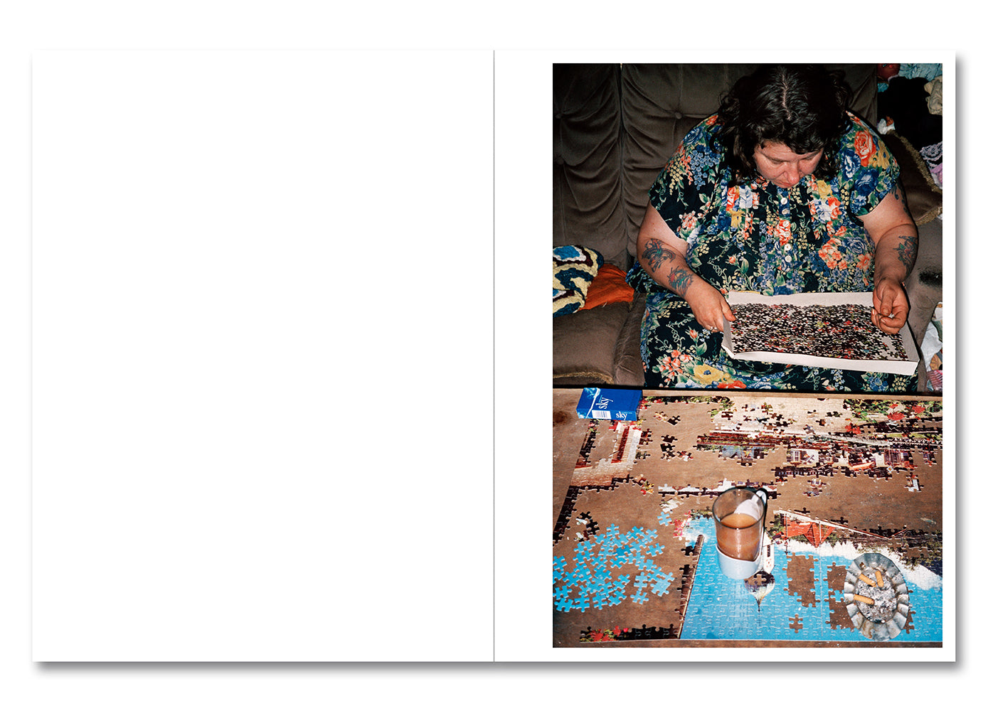 Ray's a Laugh Special Edition