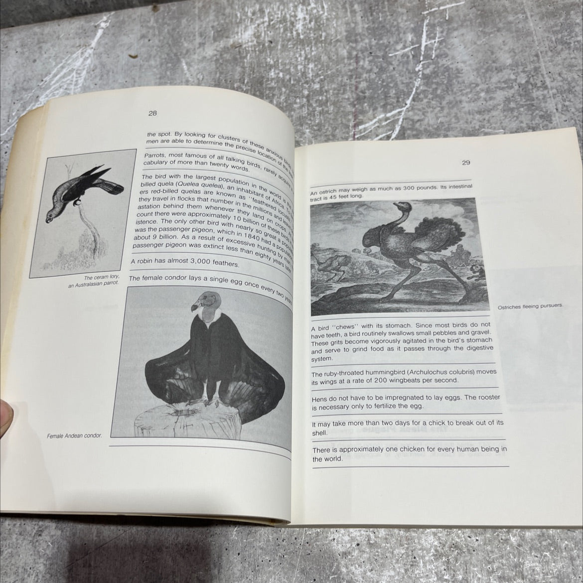 more fascinating facts book, by David Carroll, 1979 Paperback