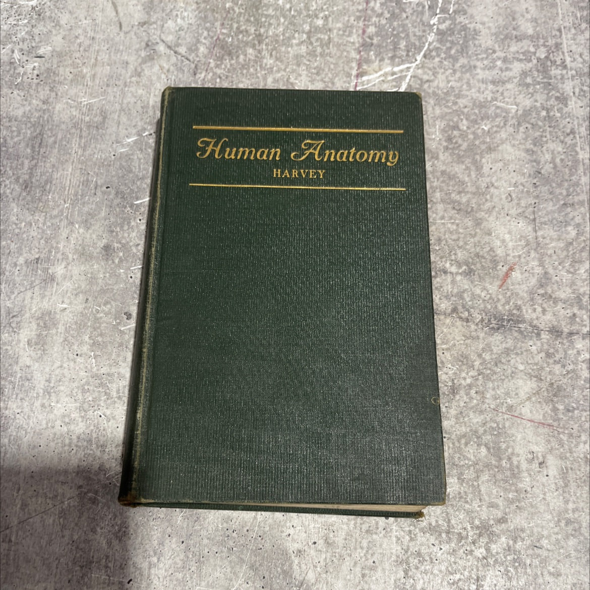simple lessons in human anatomy book, by b. c. h. harvey, m.d., 1931 Hardcover