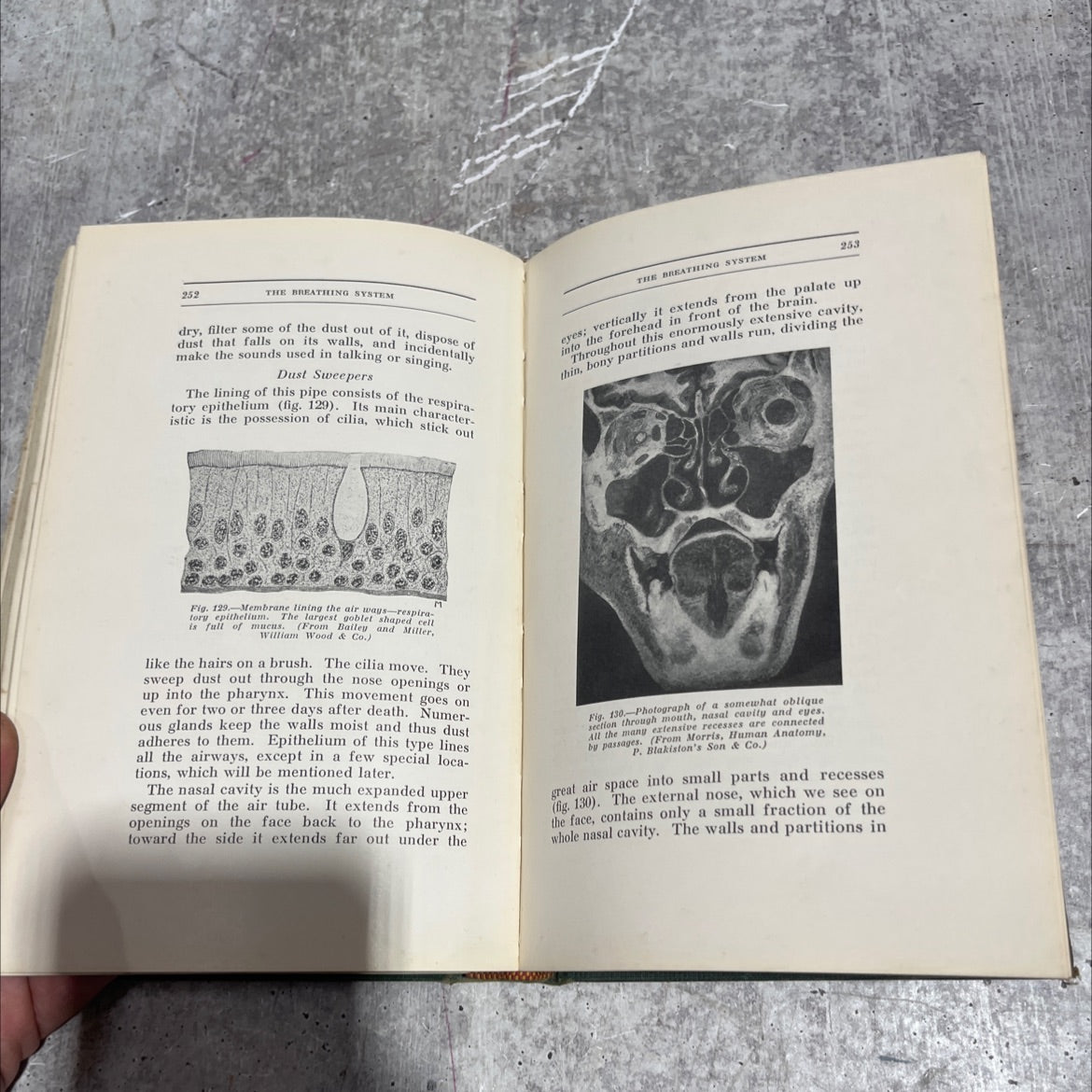 simple lessons in human anatomy book, by b. c. h. harvey, m.d., 1931 Hardcover