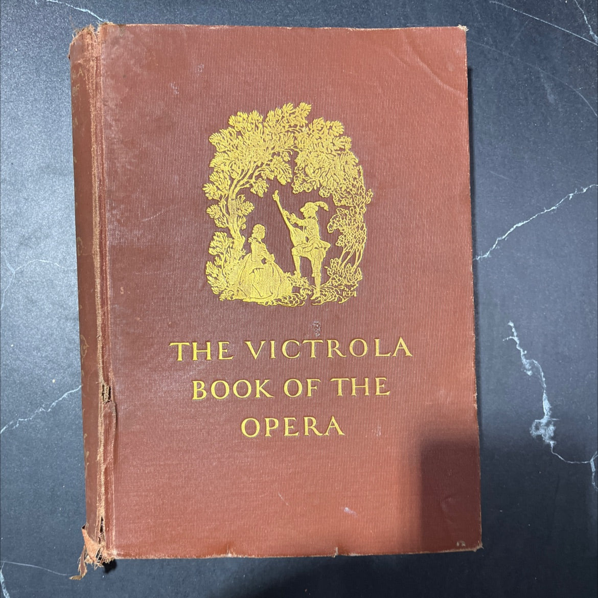 the victrola book of the opera stories of the operas with illustrations & descriptions of victor opera records book, by
